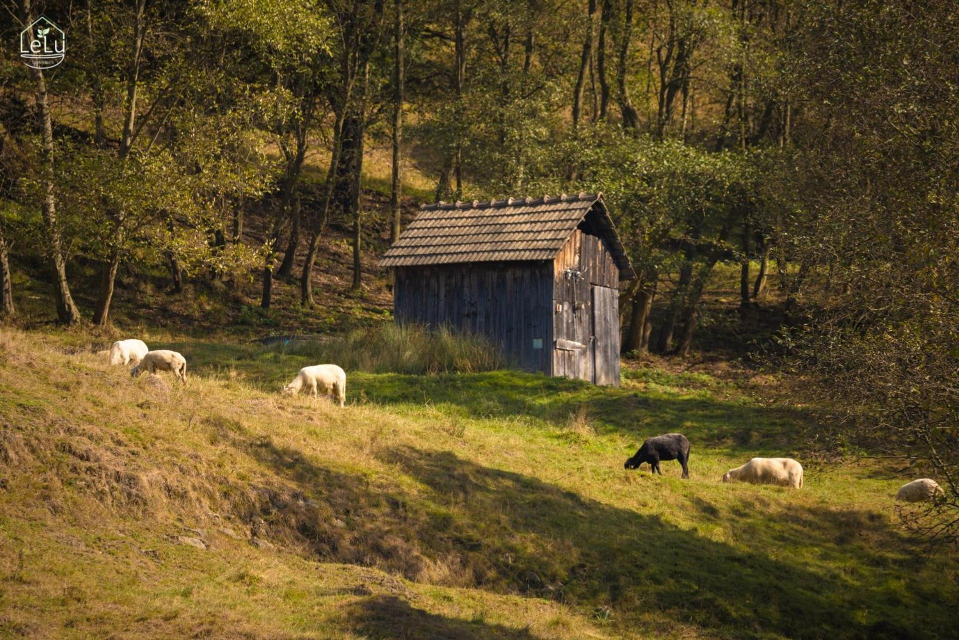 Chalet Lelu Spa&natura